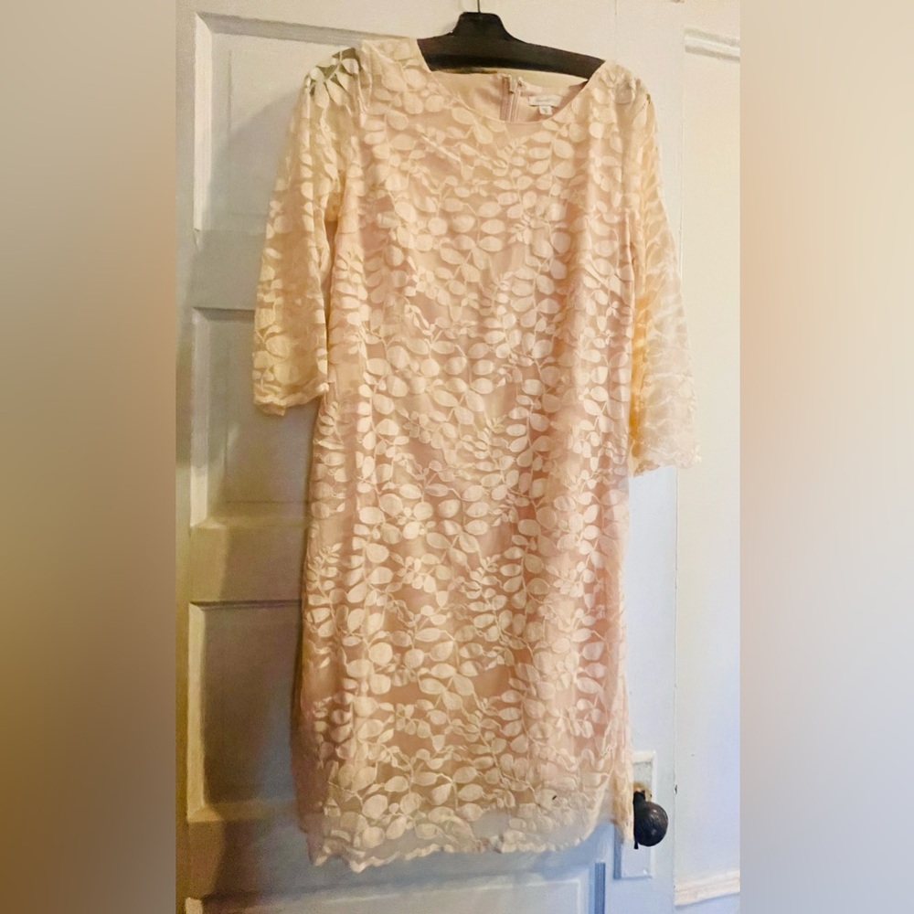 Garnet Hill blush pink lace dress, size 8. Excellent used condition.